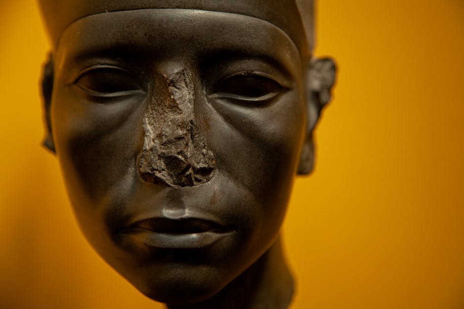 Expert Water Damage & Mould Restoration Across Australia