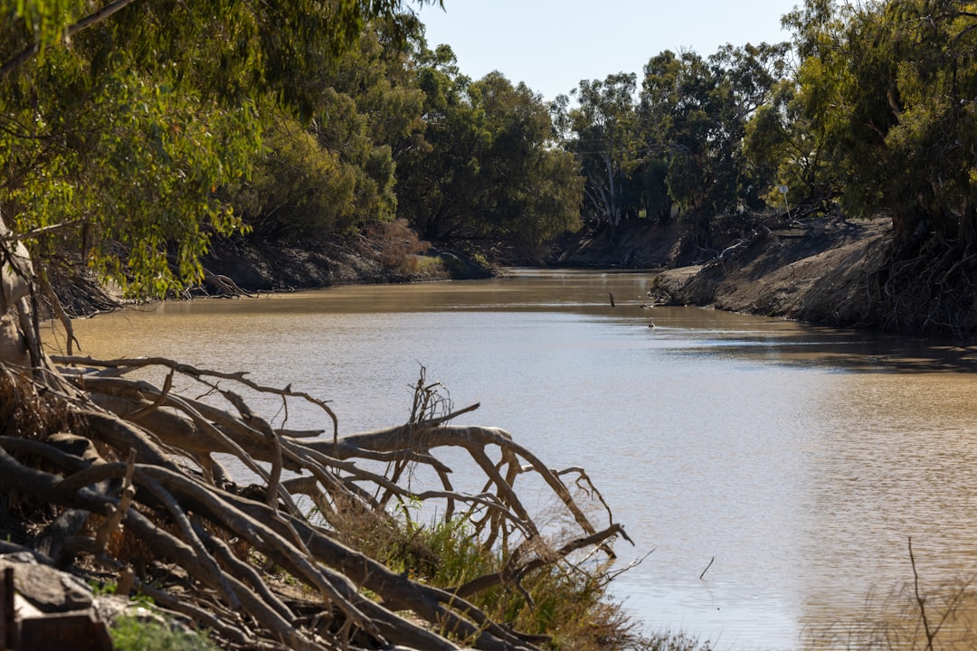 Expert Water & Fire Damage Restoration in Australia: Your Em...