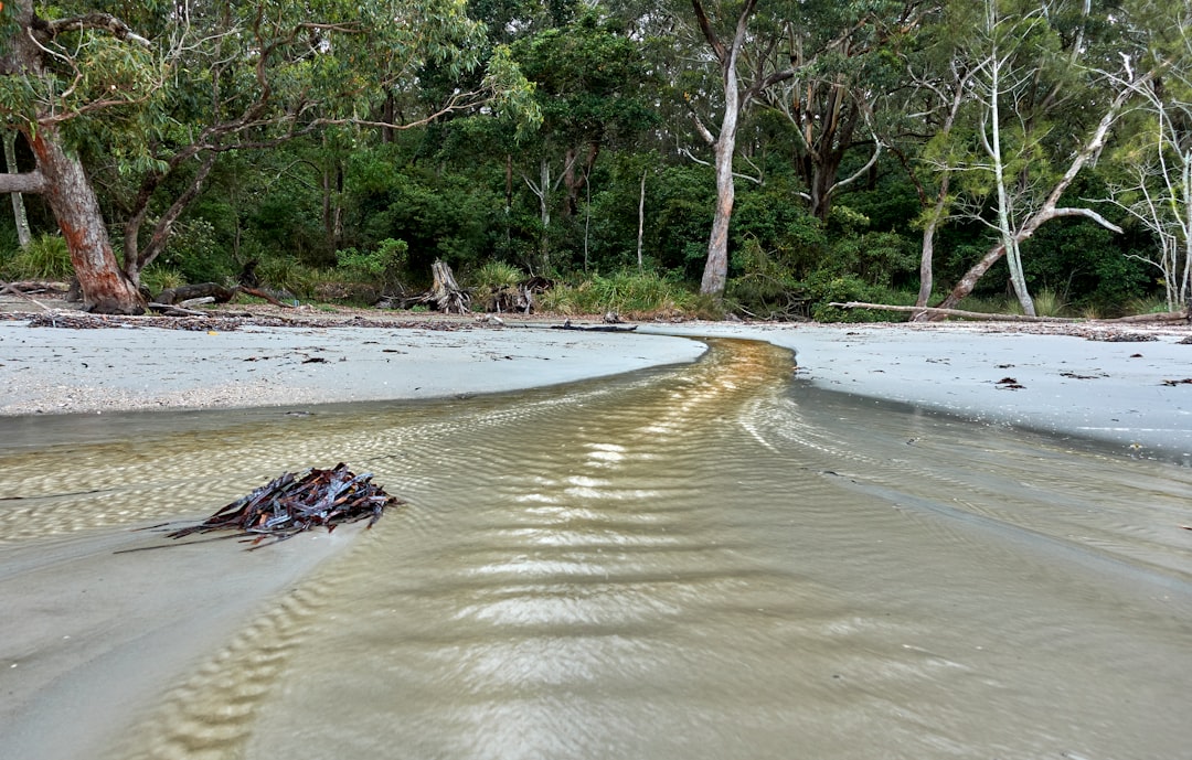 Expert Water Damage Restoration & Flood Recovery in Australi...