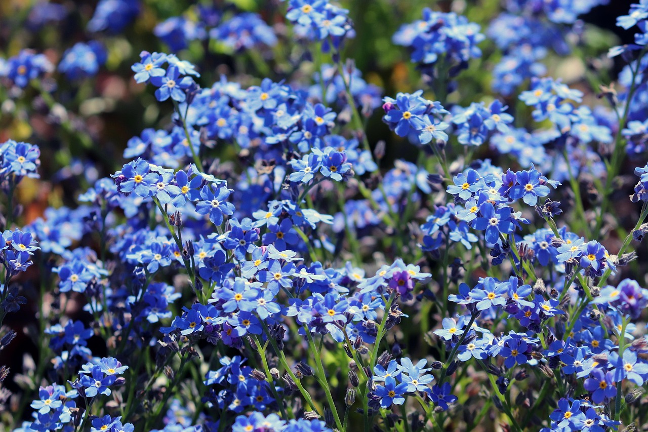 Expert Water Damage Restoration & Emergency Flood Cleanup in...