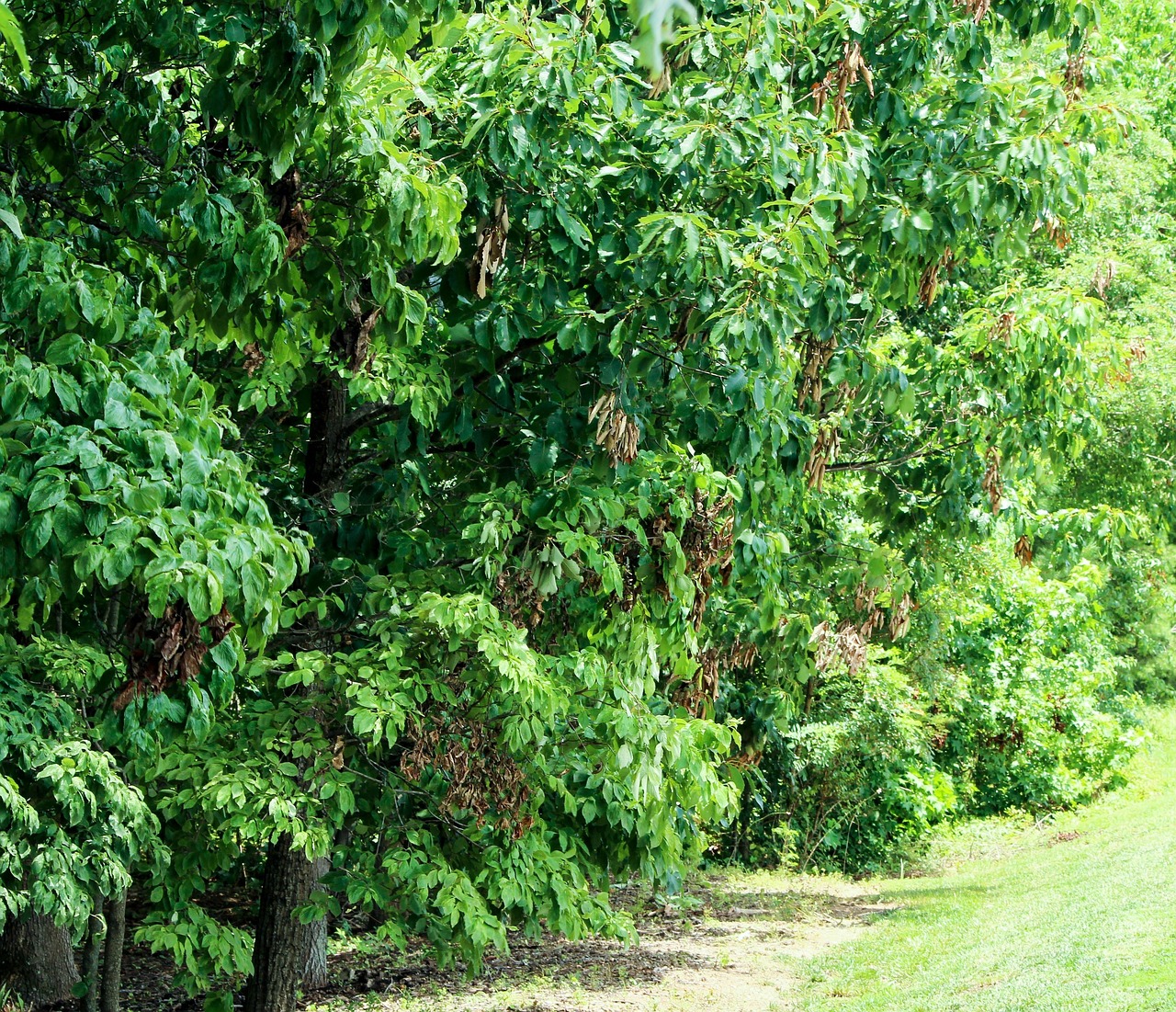 Expert Water Damage Restoration & Flood Cleanup Across Austr...