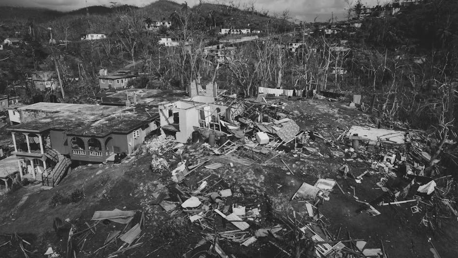 Expert Water Damage Restoration & Emergency Flood Cleanup in...