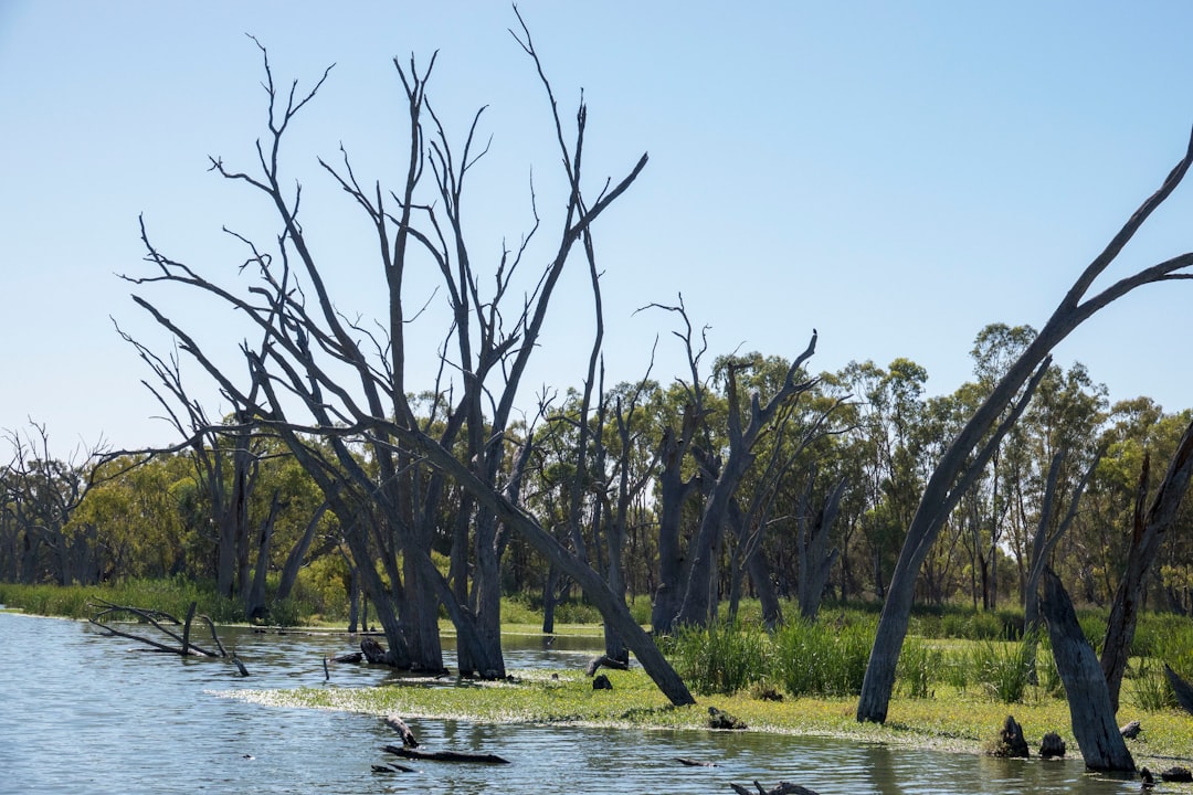 Expert Water & Fire Damage Restoration Services Across Austr...