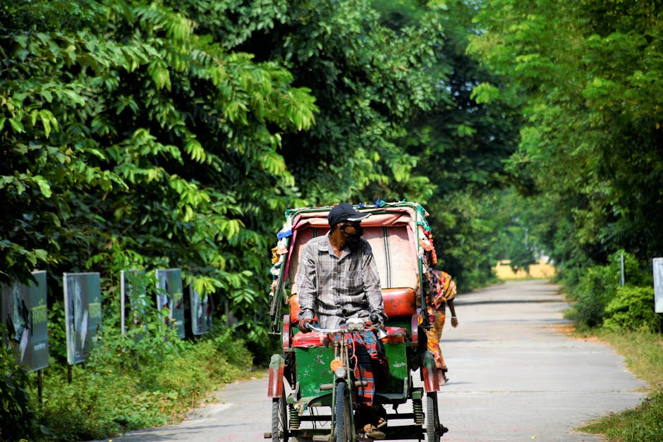 Professional Water Damage Restoration: Your Australian Exper...