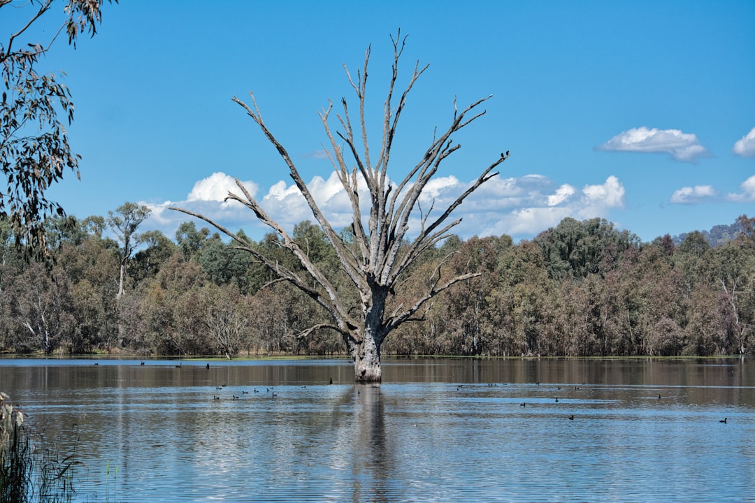 Expert Water & Flood Damage Restoration Across Australia