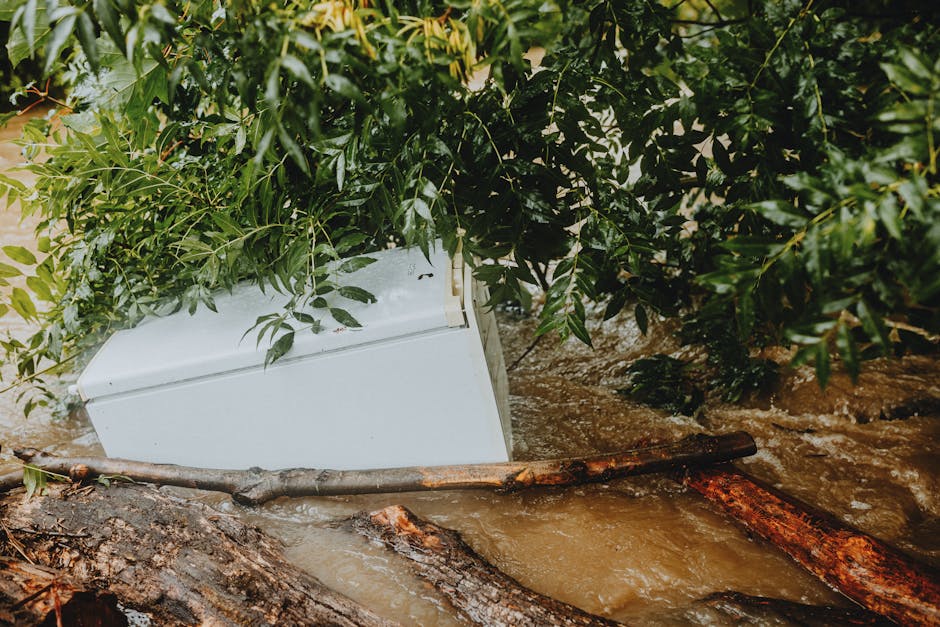 Expert Water Damage & Mould Restoration Across Australia