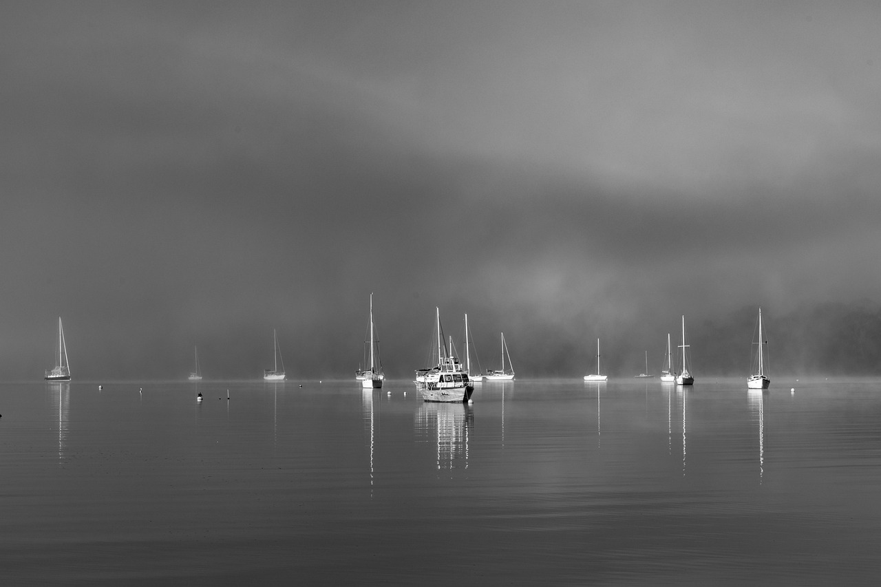 Expert Water Damage & Mould Restoration Across Australia